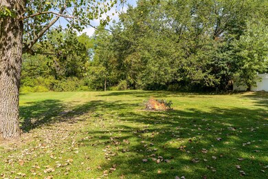 3 back yard