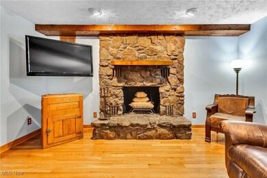 9591 Kinsman Pymatuning Rd, Kinsman, OH 44428 - photo 4