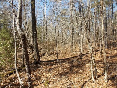 1 Chamberlain Ferry Rd, Lincolnton, GA 30817 - photo 3