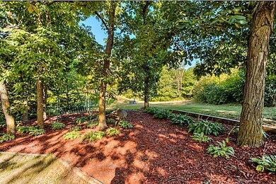 Yard/Garden.