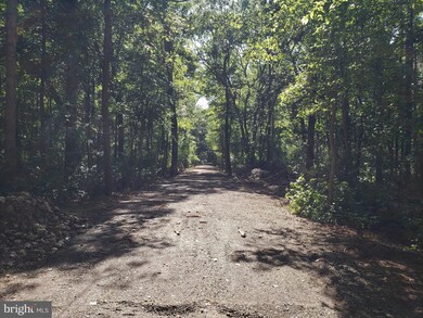 0 Burrisville Rd unit MDQA147966, Centreville, MD 21617 - photo 4