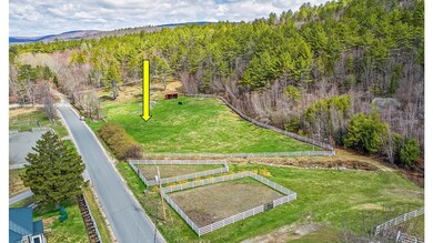 410-090-005 Eastern District Rd, Danbury, NH 03230 - photo 5