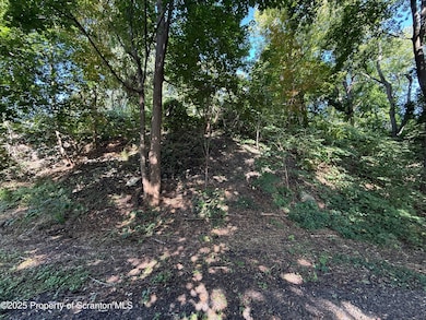 607 3rd Ave, Scranton, PA 18505 - photo 3