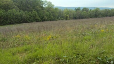 0 Moorestown Rd unit 472378, Bushkill Township, PA 18064 - photo 3