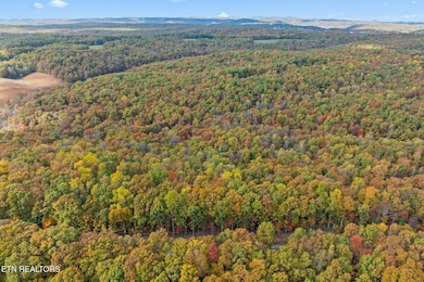 3-web-or-mls-461 E Cove Rd, Monterey_037