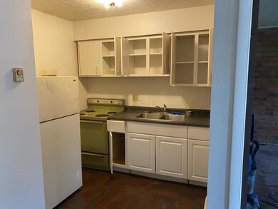 Weber Road kitchen II