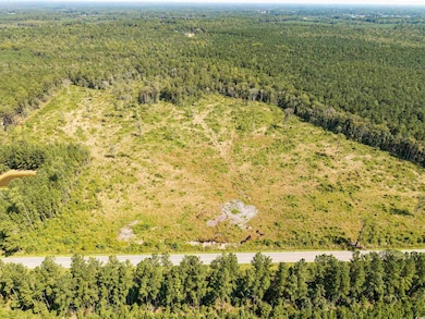 TBD Pitch Landing Rd, Conway, SC 29527 - photo 2