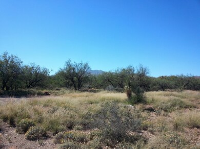 1 N Atrisco Dr unit 18, Vail, AZ 85641 - photo 3