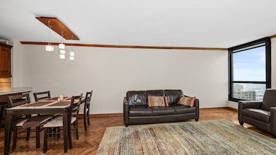 Newberry Plaza unit 34D, Chicago, IL 60610 - photo 5