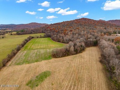 4934 N York Hwy, Pall Mall, TN 38577 - photo 4