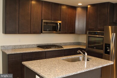 Condos at the Ridge unit 404, Owings Mills, MD 21117 - photo 5