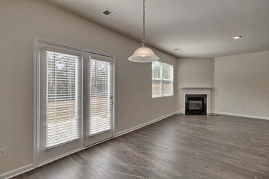 Gas Fireplace