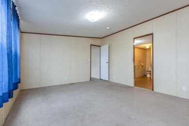 33175 Fields-2