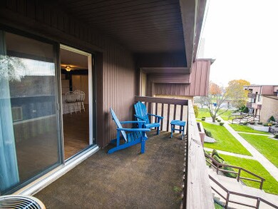 103 Caterpillar Dr unit 3D, Joliet, IL 60436 - photo 3