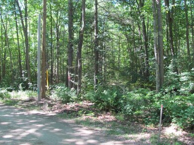 40 Moose Rocks Rd, Kennebunkport, ME 04046 - photo 6