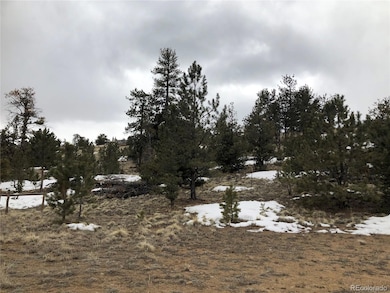 133 Joyce Ln, Hartsel, CO 80449 - photo 2