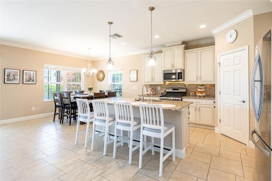 6510 Nestall Ct, Apollo Beach, FL 33572 - photo 3