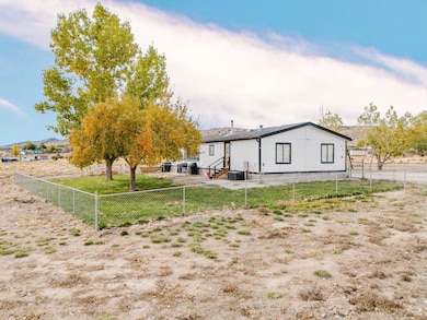 419 Lily Place, Spring Creek, NV 89815 - photo 4