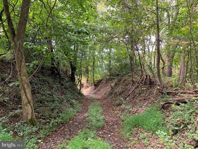 6679 Old Solomons Island Rd, Friendship, MD 20758 - photo 3