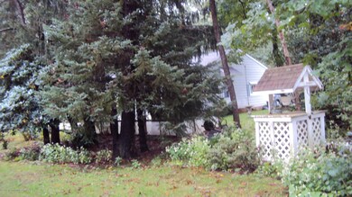 DSC09695