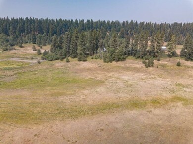 000 E Chattaroy Rd, Chattaroy, WA 99003 - photo 2