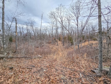 000 W Hwy, Wheatland, MO 65779 - photo 7