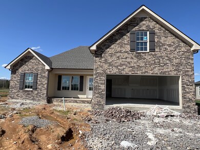 208 Meadowbrook Dr, Shelbyville, TN 37160 - photo 3