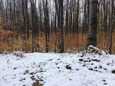thumbnail_image1-2