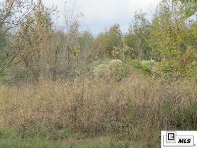 000 State Route 585, Alto, LA 71269 - photo 7