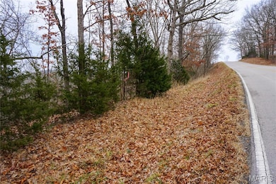 Tract B State Route Y, Dixon, MO 65459 - photo 2