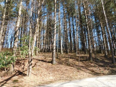 Tract L-12 Panorama Dr, Todd, NC 28684 - photo 3