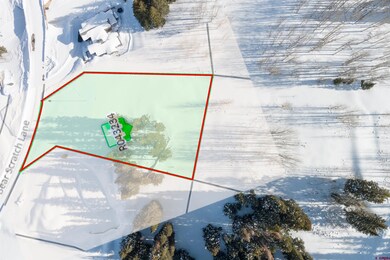 104 Bear Scratch Ln, Crested Butte, CO 81225 - photo 6