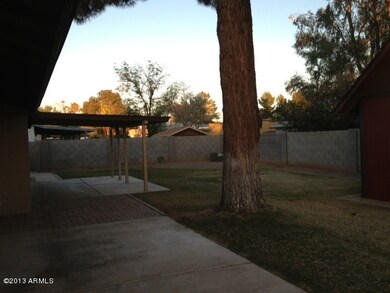 Backyard 2