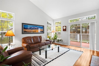 Vaulted Ceiling Living Room | Great Natural Light