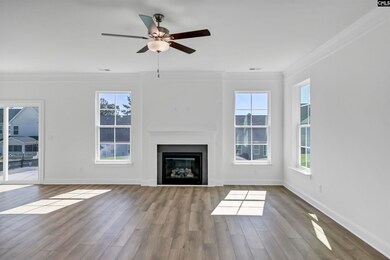 624 Thunder Gulch Ave, Lexington, SC 29073 - photo 4