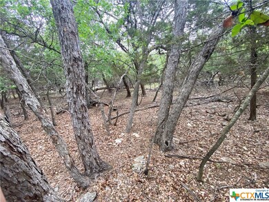 5303 Comanche Dr, Temple, TX 76502 - photo 3