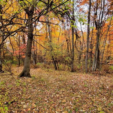2 CROWN RIDGE Berry Farm Rd, Staunton, VA - photo 5