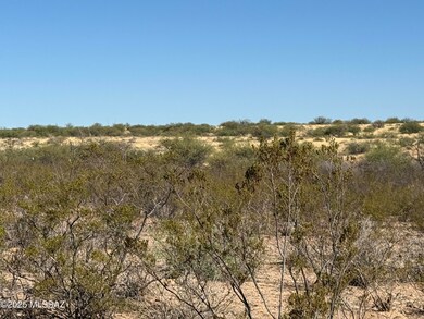 1268 E Cougar Trail unit 123, St. David, AZ 85630 - photo 5