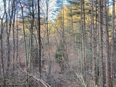 Hiking area - Copy