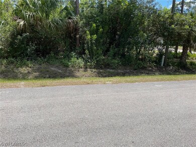Wooded lot