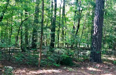Lot 4 Arcadia Ln, Pittsboro, NC 27312 - photo 5