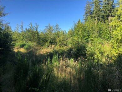 0 Bald Hills Rd SE unit 1640352, Yelm, WA 98989 - photo 2