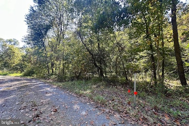 Lots 3 & 4 Shale Pit Dr, Falling Waters, WV 25419 - photo 5