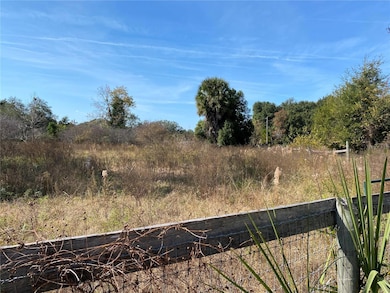 19690 NE 73rd Terrace, Citra, FL 32113 - photo 2