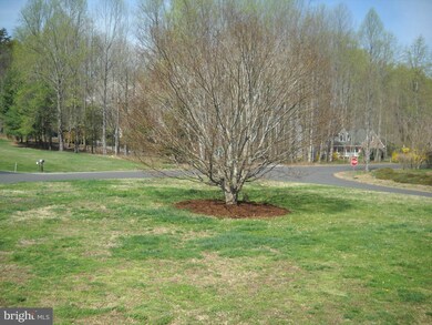 8206 Colise Ln, Spotsylvania, VA 22553 - photo 3