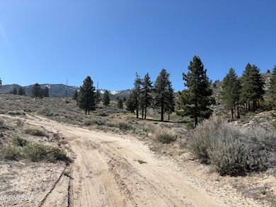 5000 W Hwy 50, Carson City, NV 89703 - photo 2