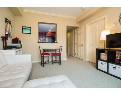 1 Nassau St unit 1502, Boston, MA 02111 - photo 4