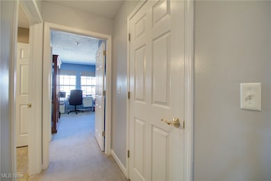 23004 Chandlers Ln unit 4-229, Olmsted Falls, OH 44138 - photo 2