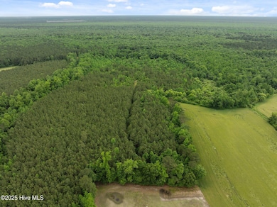 Tbd N Carolina 50, Wallace, NC 28466 - photo 2