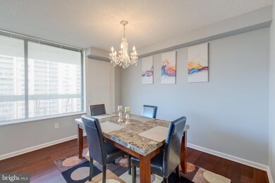 Skyline Plaza unit 1216S, Baileys Crossroads, VA 22041 - photo 6